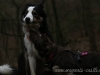 cIMG_7799