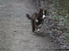cIMG_7808