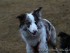 cIMG_7821