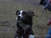 cIMG_7841