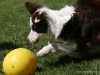 cimg_6946