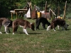 cimg_7164