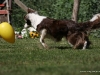 cimg_7172