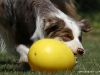 cimg_7204