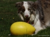cimg_7248