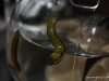 cimg_2842