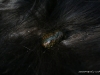 cimg_2852