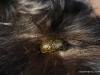 cimg_2854
