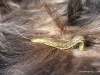 cimg_2863