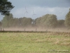 comp_dsc00356