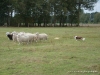 comp_dsc00375