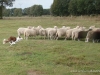 comp_dsc00378