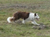 comp_dsc00406