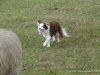 comp_dsc00409