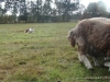comp_dsc00421
