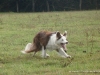 comp_dsc00431