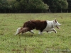comp_dsc00475