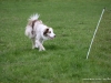 cimg_6656