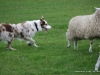 cimg_6742