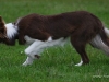 cimg_6776
