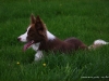 cimg_6827
