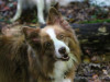 c1IMG_0021