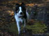 c1IMG_0139