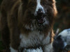 c1IMG_0150