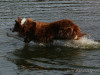 c1IMG_9769