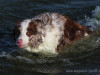 c1IMG_9811