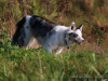 c1IMG_9896