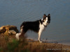 c1IMG_9931