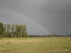 comp_dsc00497