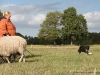 comp_dsc00511