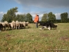 comp_dsc00514