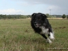 comp_dsc00533