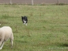 comp_dsc00538