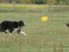 comp_dsc00573