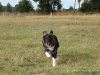 comp_dsc00598
