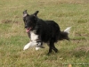 comp_dsc00599