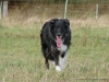 comp_dsc00618
