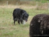 comp_dsc00622
