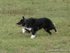 comp_dsc00631