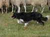 comp_dsc00633