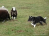comp_dsc00640