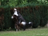 cimg_6131