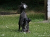 cimg_6239