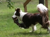 cimg_6254