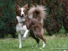 cimg_6321