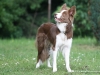 cimg_6358